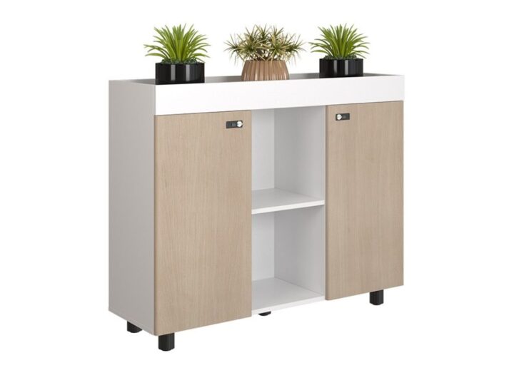 Tủ hồ sơ NTV1000-3T2